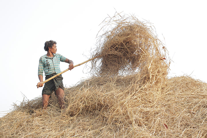 Seeds of Freedom campaign: The Farmer, The Architect and The Scientist