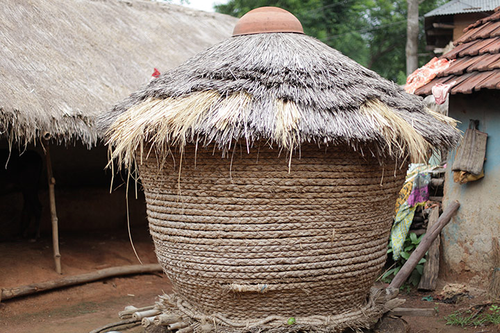 Seeds of Freedom campaign: The Farmer, The Architect and The Scientist