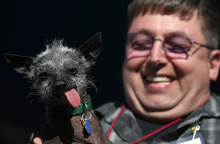 Ugly dogs: Ellie Mae