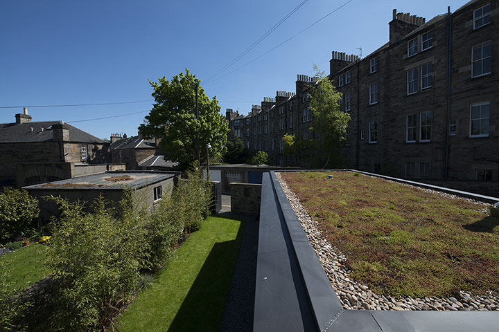 homes - edinburgh house: roof of extension with grass