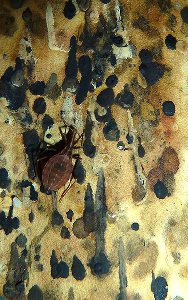 Swansea University: 2013 Swansea University Research as Art competition