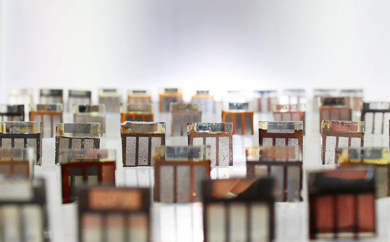 Swansea University: bb