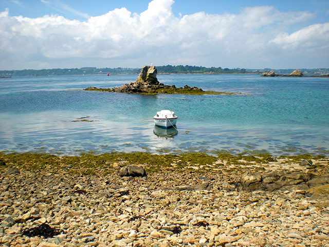 Swansea University: bb