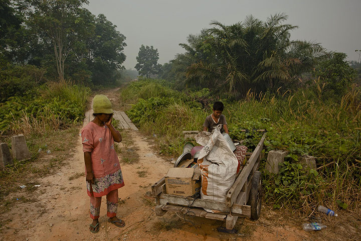 Indonesia Fires: Forest Fires in Sumatra, Riau Province