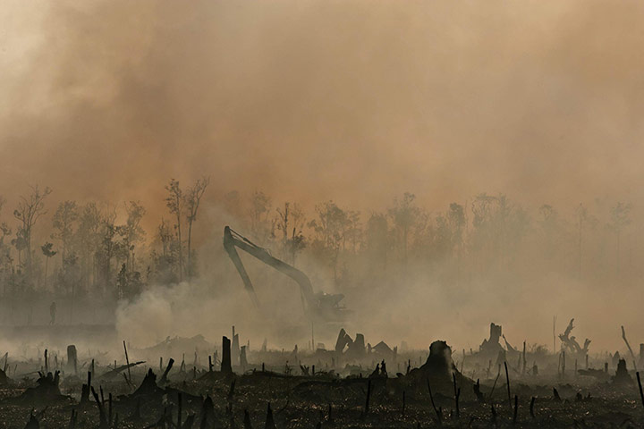 Indonesia Fires: Forest Fires in Sumatra, Riau Province