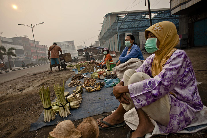 Indonesia Fires: Forest Fires Cause Smog in Dumai City Riau Province