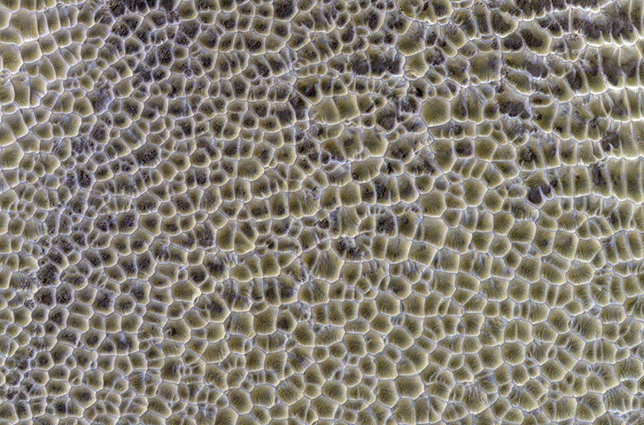 A Month in Space: Polygonal Dunes on Mars