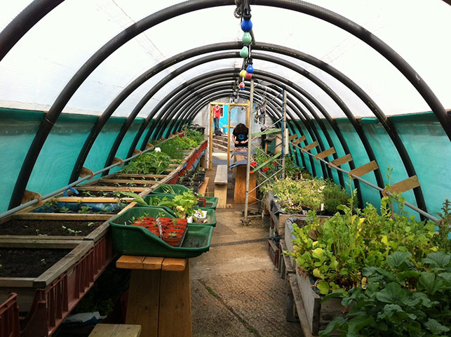 Volunteering week 2013: Volunteering week 2013: Global Generation