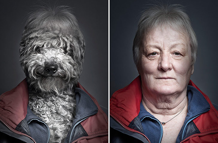 Dogs Dressed As Owners: Grey Hair