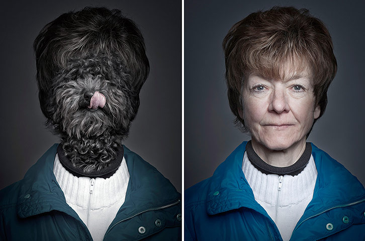 Dogs Dressed As Owners: Blue coat