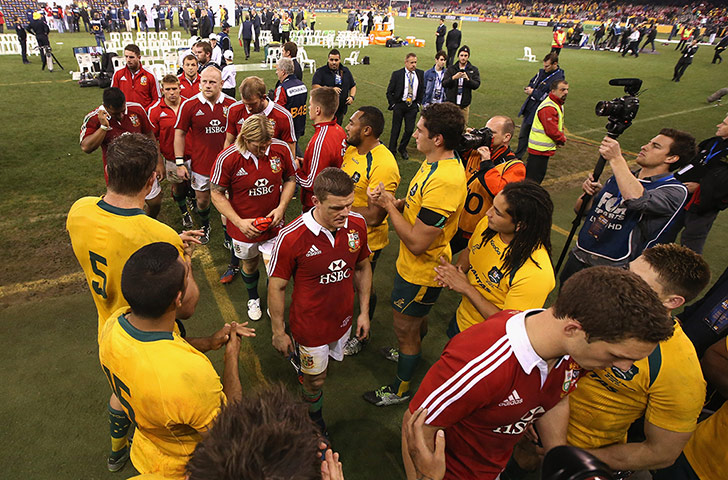 lions gallery 4: Dejected Lions