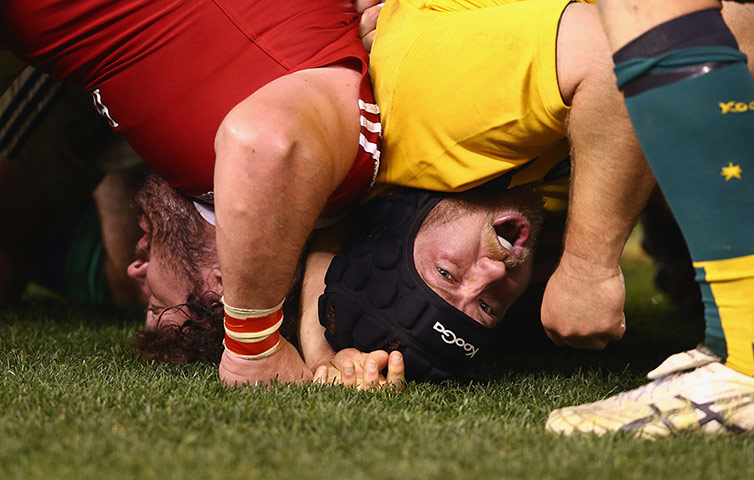 lions gallery 4: Benn Robinson appeals to the touch judge after a collapsed scrum 