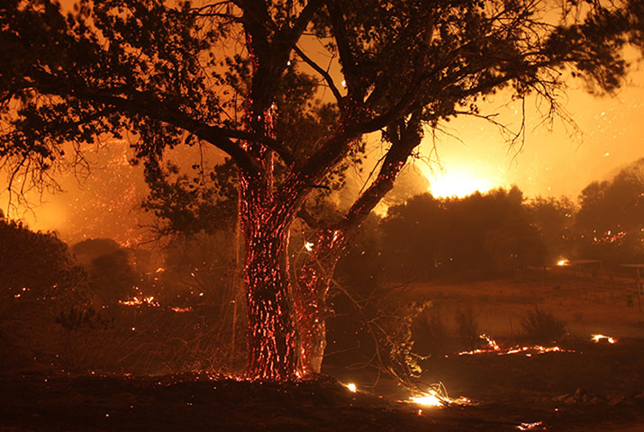 wildfire: Wild Fire Burns Homes In Lake Hughes, California