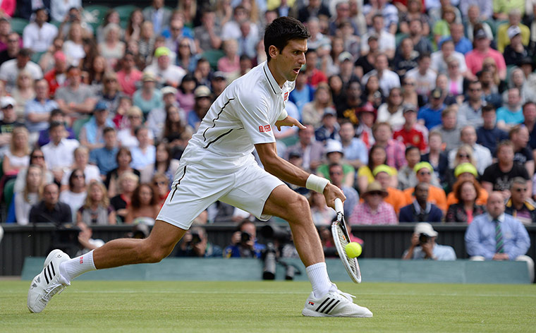 tom wimbo day 6: Novak Djokovic