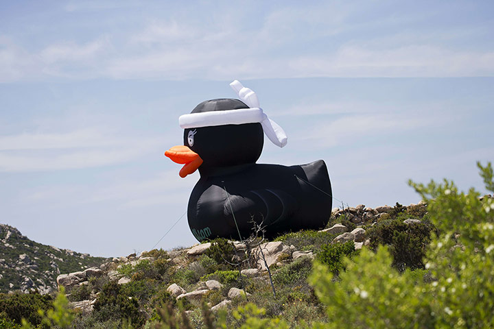 TDF: A giant inflatable duck 