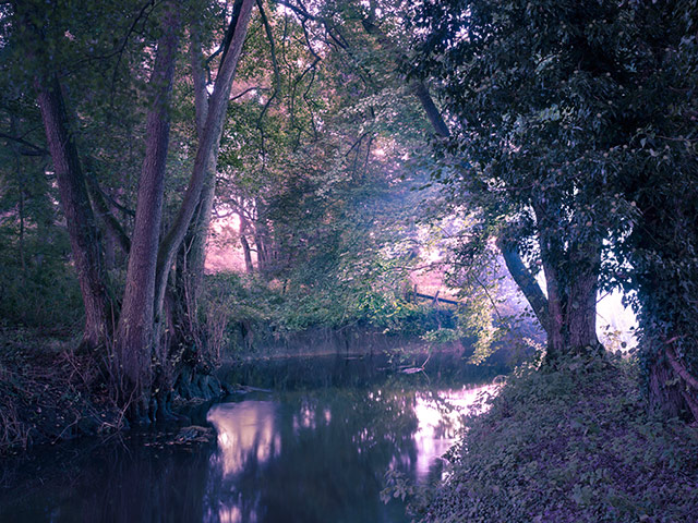 Hey, Charlie: Younger Than Before, 2012