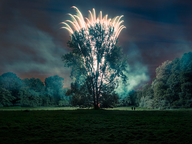 Hey, Charlie: Harry Bryan and Central Poplars. Smoke and 130 ft Mine, 2012