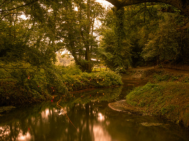 Hey, Charlie: Fishing Bend and Candlelight, 2012