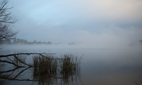 Rowers on Lake Burley Griffin outside Government House in Yarralumla this morning. The Global Mail. Mike Bowers.