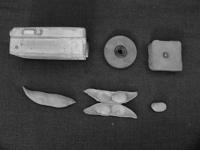 Damián Ortega: Damián Ortega