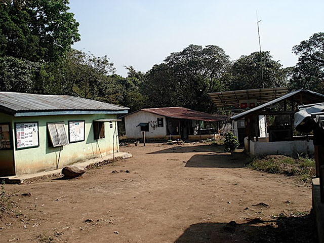 Damián Ortega: Damián Ortega