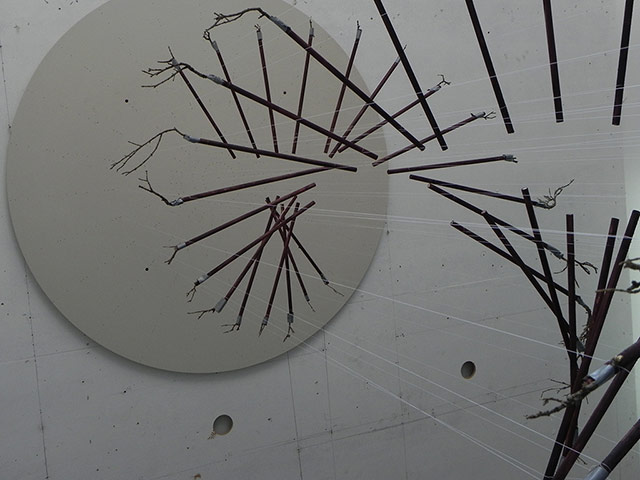 Damián Ortega: Damián Ortega