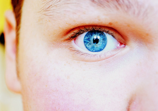 Who are you? gallery: who are you winner 18