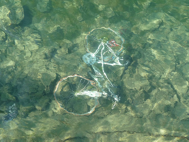 Readers Pictures: Readers Pictures - bike in a lake