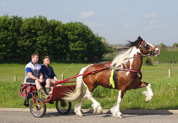 Appleby Fair: Travellers Attend The Annual Appleby Horse Fair