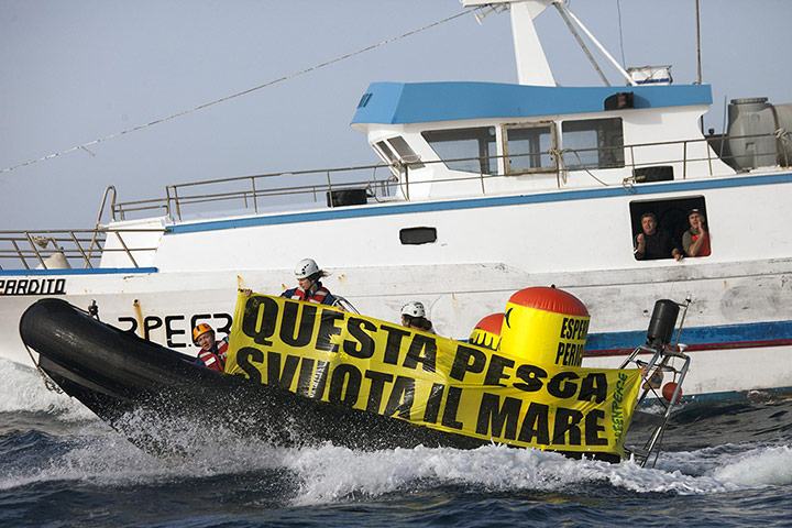 Greenpeace Arctic Sunrise: Fisheries Action in Sicily