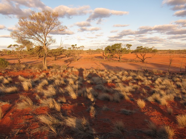 Roxby Downs, South Australia