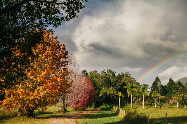 Australian Autumn: A Slice of Heaven