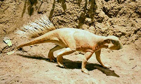 Life model of Psittacosaurus