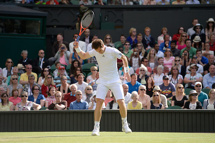 Tom's murray pics: Andy Murray Angry