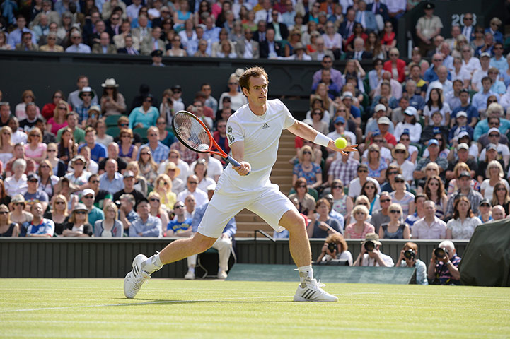 Tom's murray pics: Andy Murray plays a shot