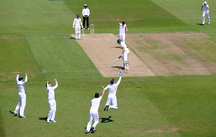 Tom Cricket day 2: Mitchell Starc is out