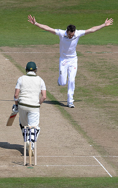Tom Cricket day 2: James Anderson celebrates Smith's wicket