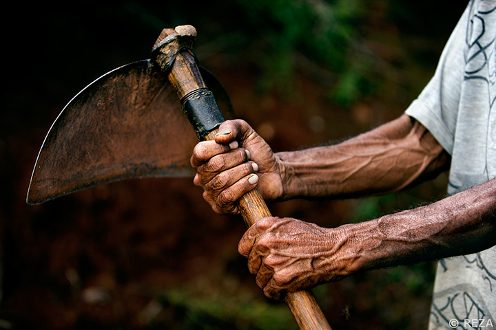 Reza Deghati Coffee: The Tool