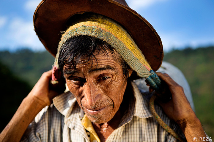 Reza Deghati Coffee: At least sixty kilos of coffee cherries