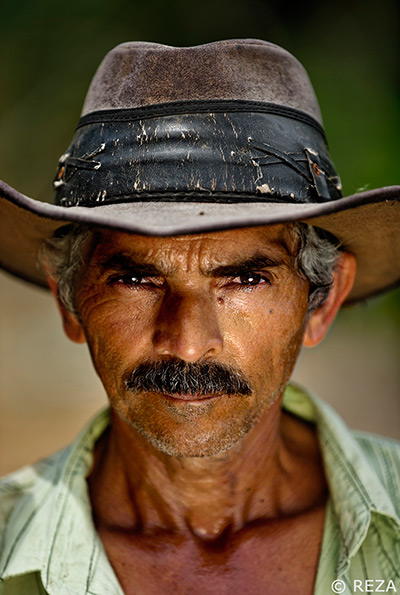 Reza Deghati Coffee: On the Brazilian plantation of Campestre, the farmers depart by bus 