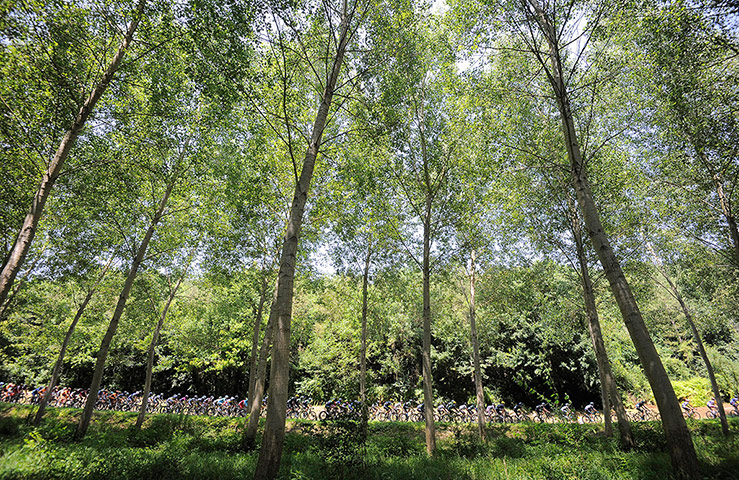 tour de france: Tour de France 2013 13th stage