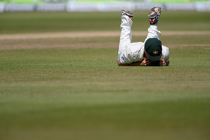 ashes day 4: Shane Watson