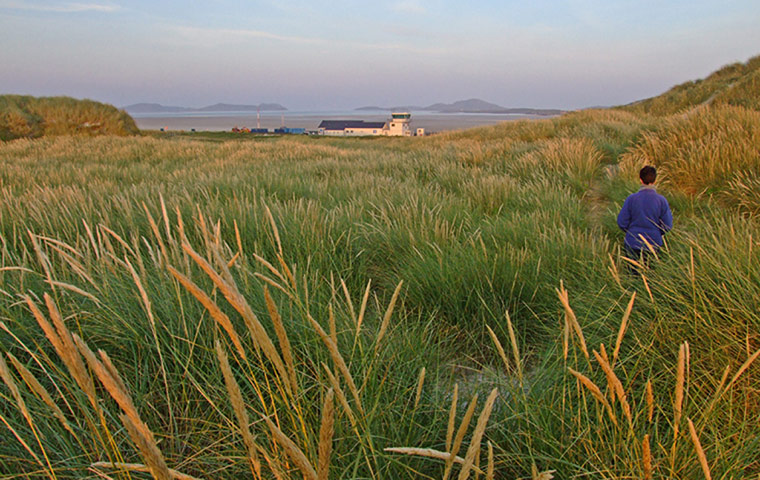 In Pictures- Sway: In PIctures - Sway - Swaying grass in Scotland
