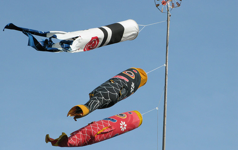 In Pictures- Sway: In Pictures - Sway - Carp flags sway in the breeze for Boys' Day in Japan