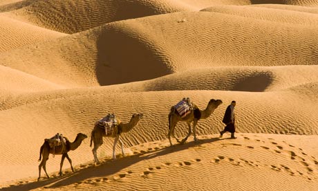 Camel caravan in north Africa