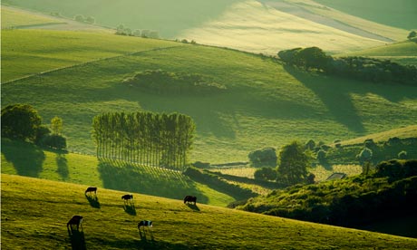 Network Rail of the roads revealed as coalition plans £28bn spree