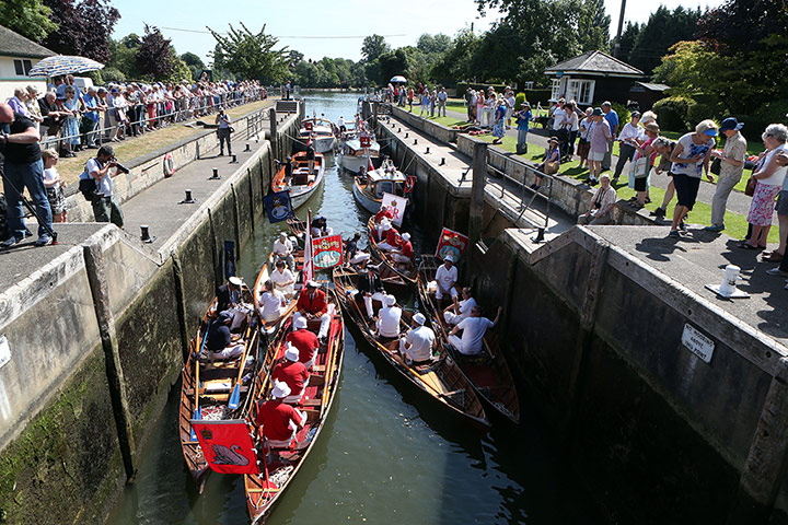 Swan upping in pictures: Swan upping in pictures