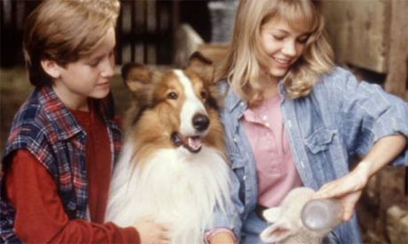 Lassie with Thomas Guiry and Michelle Williams, 1994.