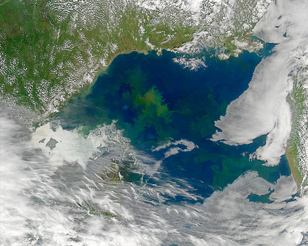 Satellite Eye on Earth: Differently colored waters in the Sea of Okhotsk