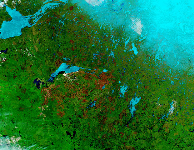 Satellite Eye on Earth: Burn scars from previous years, Canada (false color)